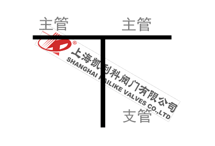 焊接T型過濾器管路支管圖